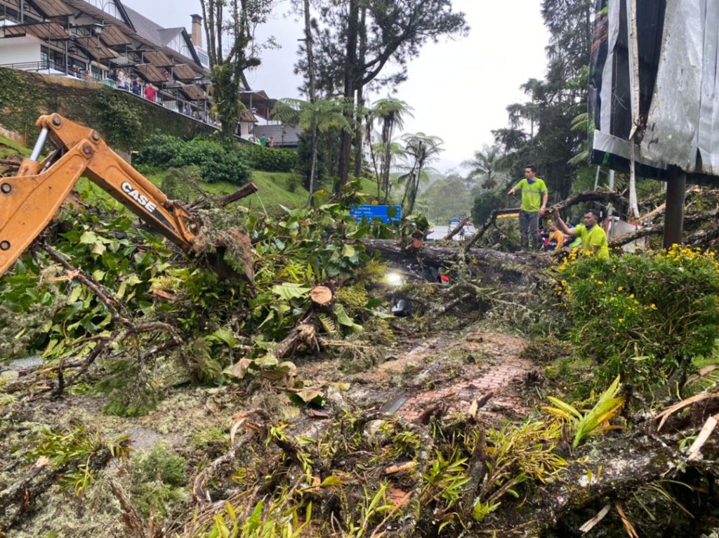 金马仑暴风雨树倒压车  至少6处土崩影响交通