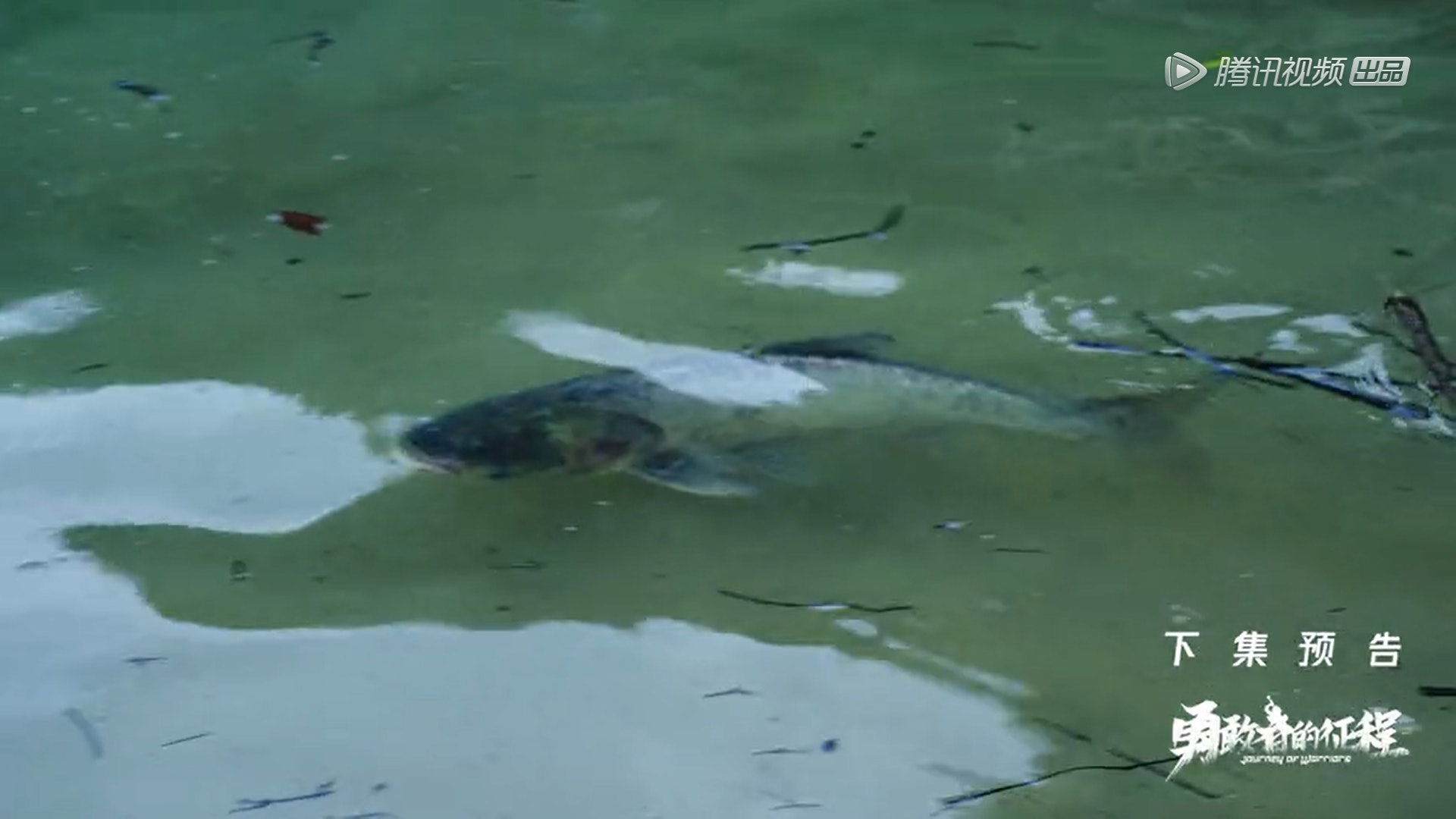 锺汉良体验红军征程  节目被质疑造假纯粹摆拍