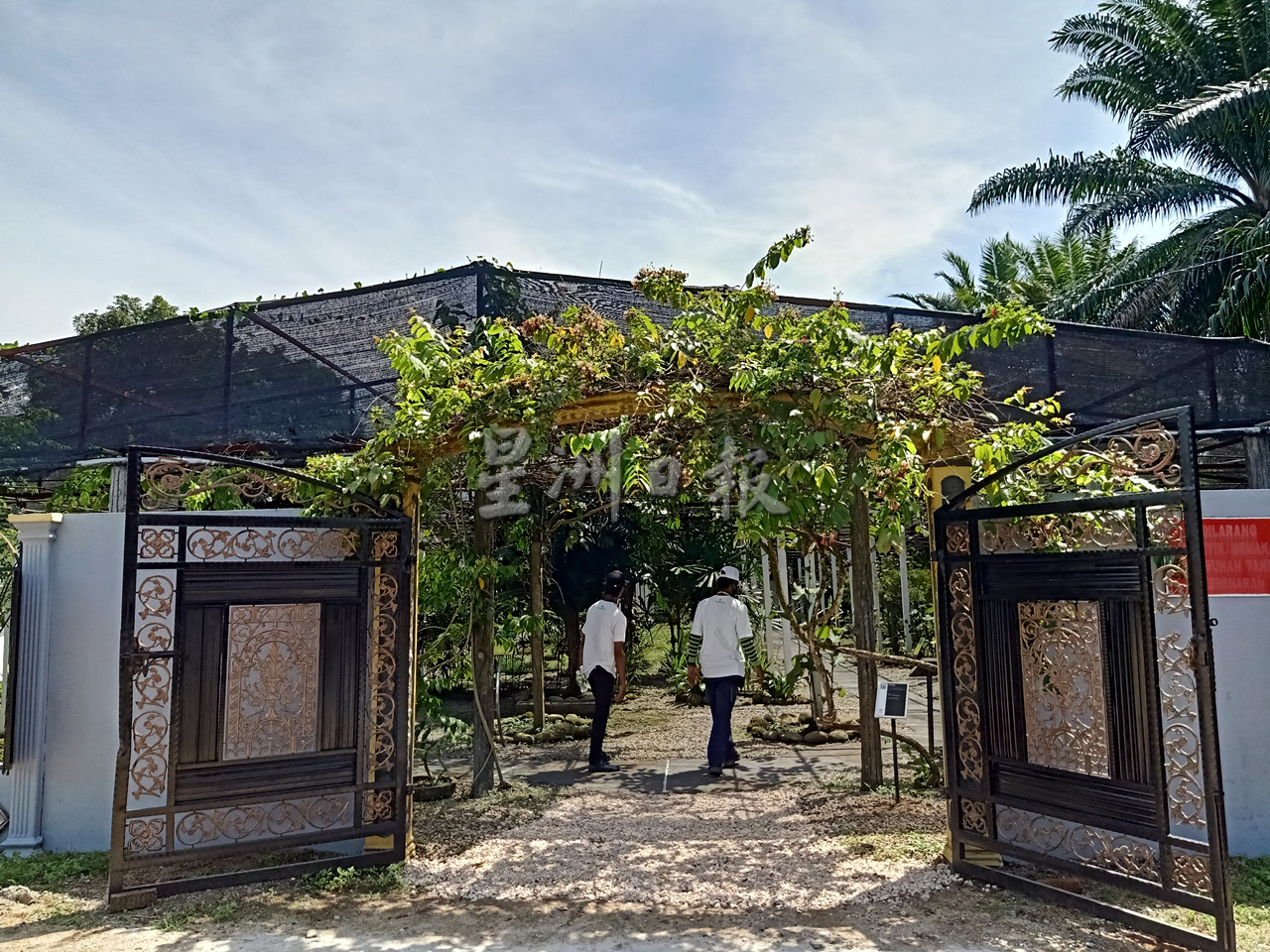 霹/以The Treasure @ Taman HerbaGopeng重塑品牌 务边草药园重新开放