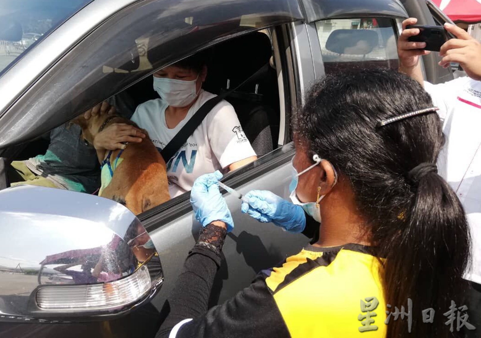 霹/太平明年有望除狂犬症疫区污名