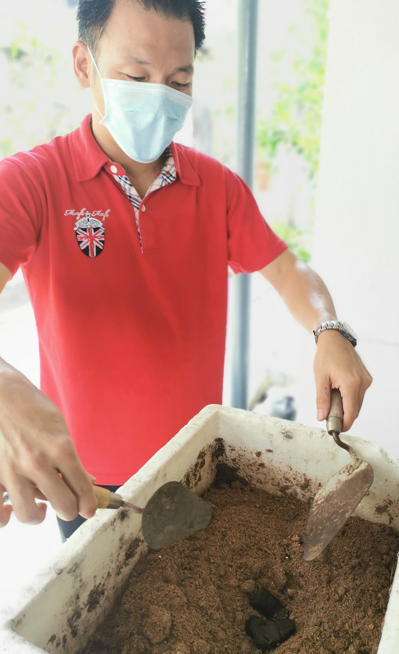 霹：24日见报／封底主文／【生活画页】疫情期，掀种菜乐