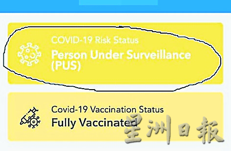 霹：版六头／MySejahtera突“变色”  市民心慌以为中招