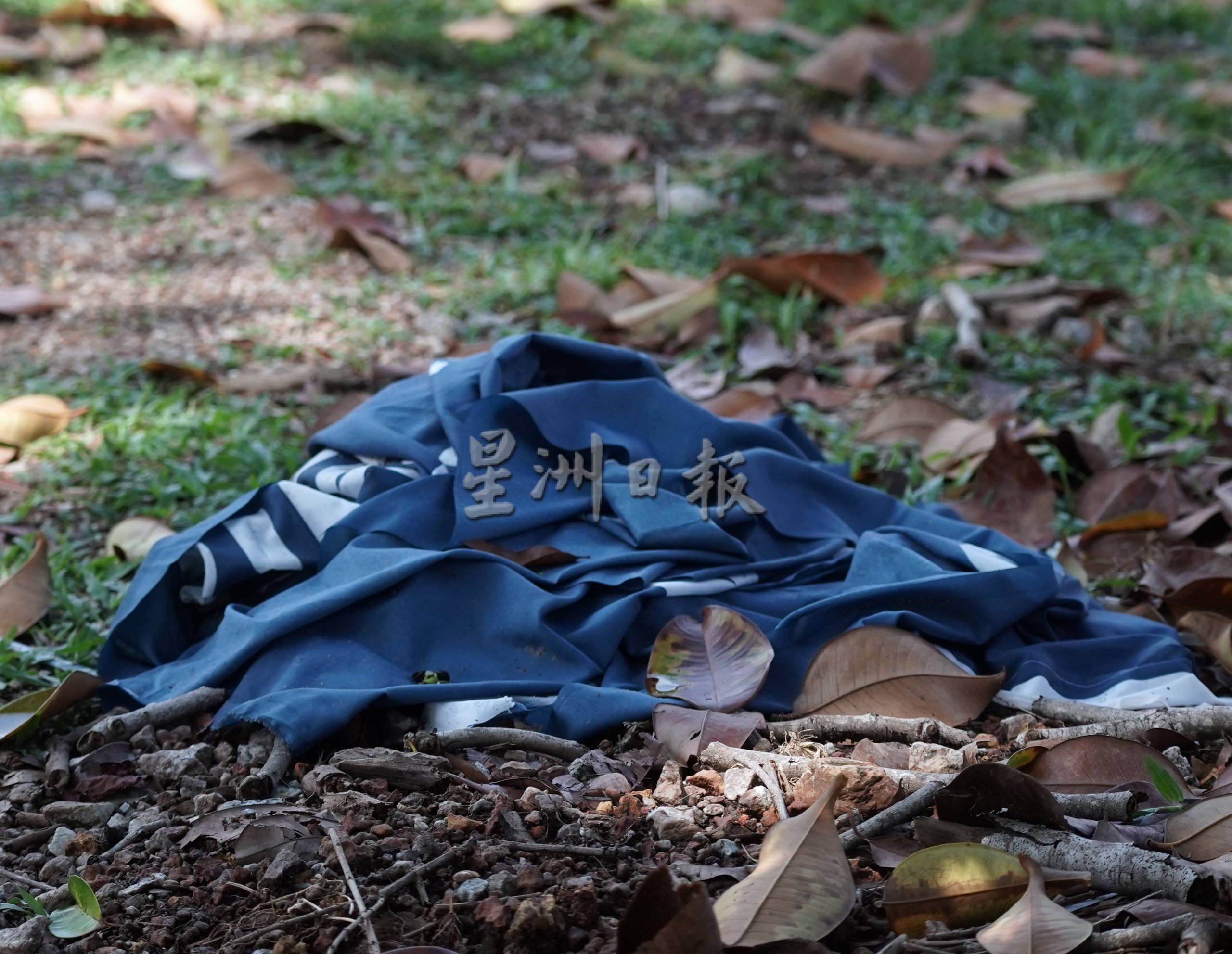 （古城封面主文）选后宣传品落地、悬吊半空，有的甚至积水，各阵营纷纷开始收拾