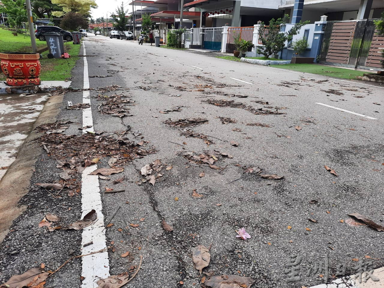 （备用）柔：民生特工队：武吉甘蜜新镇部分路段大雨变成河