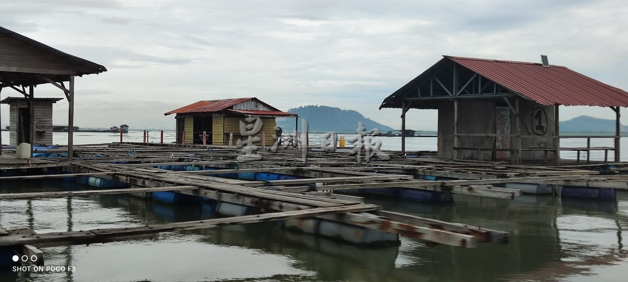 （大北马）平安岛海域迎来蓬勃的垂钓活动和跳岛游