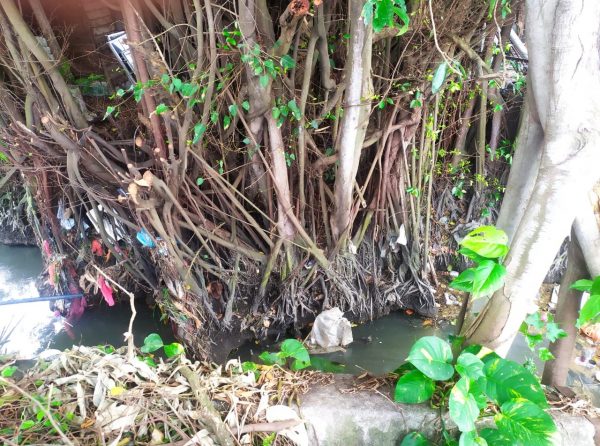 (大都会)颜友鹰和刘贵城巡视吉打路排水系统