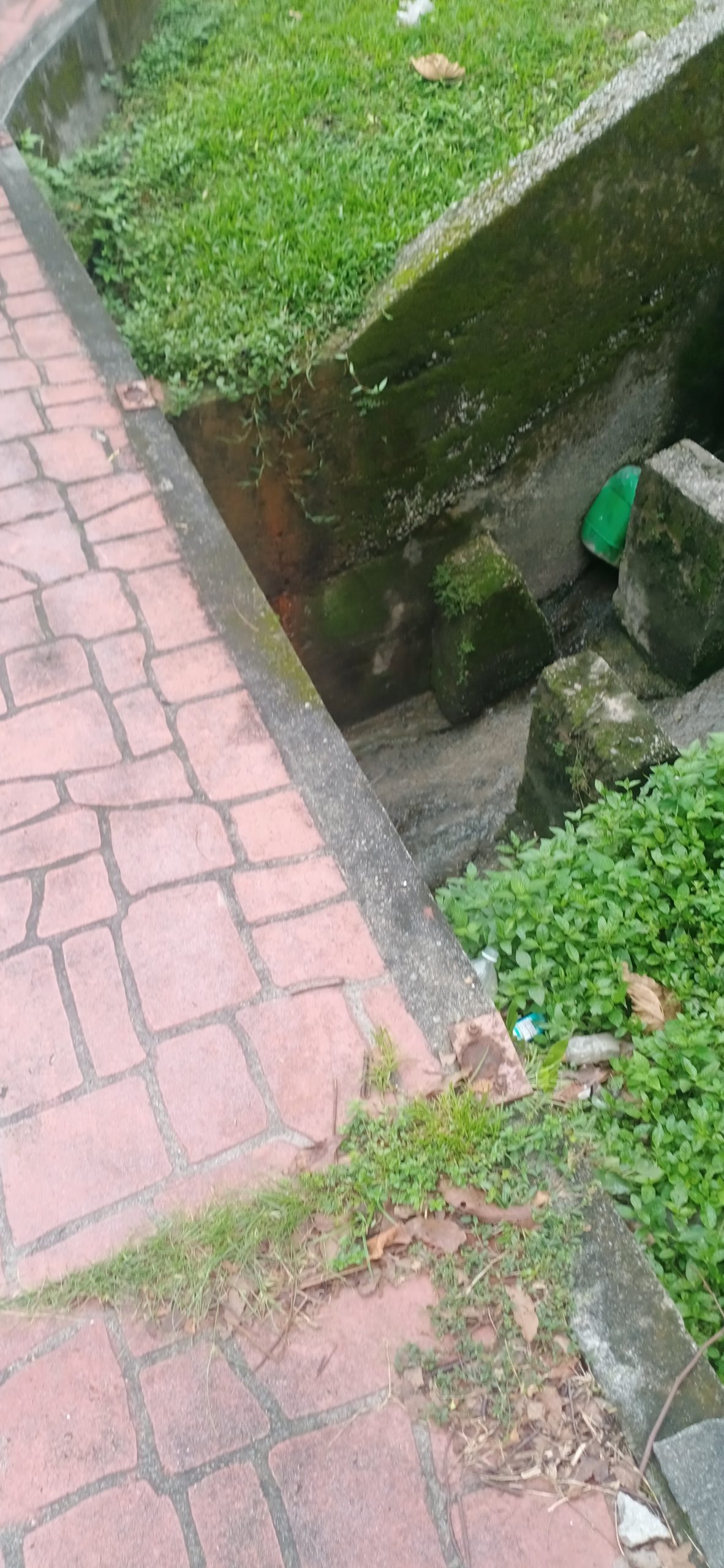 (大都会)黄俊昱指休闲行人道成为人民的危险道/5图(可选下)