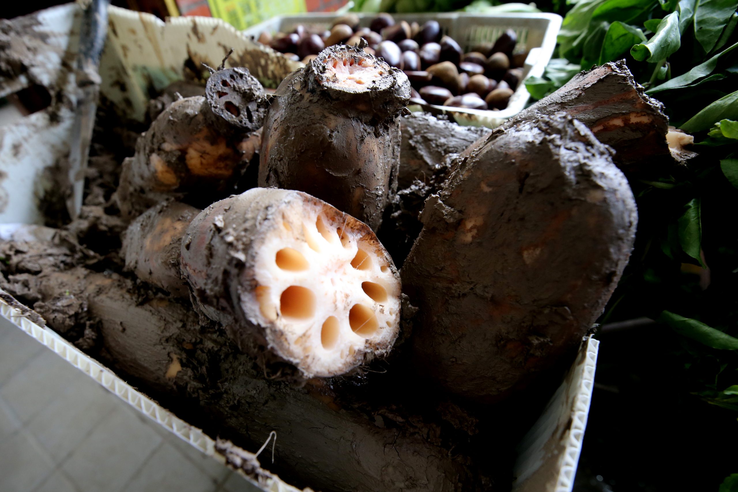 （大都会）/ME03头/跟进菜价／8图