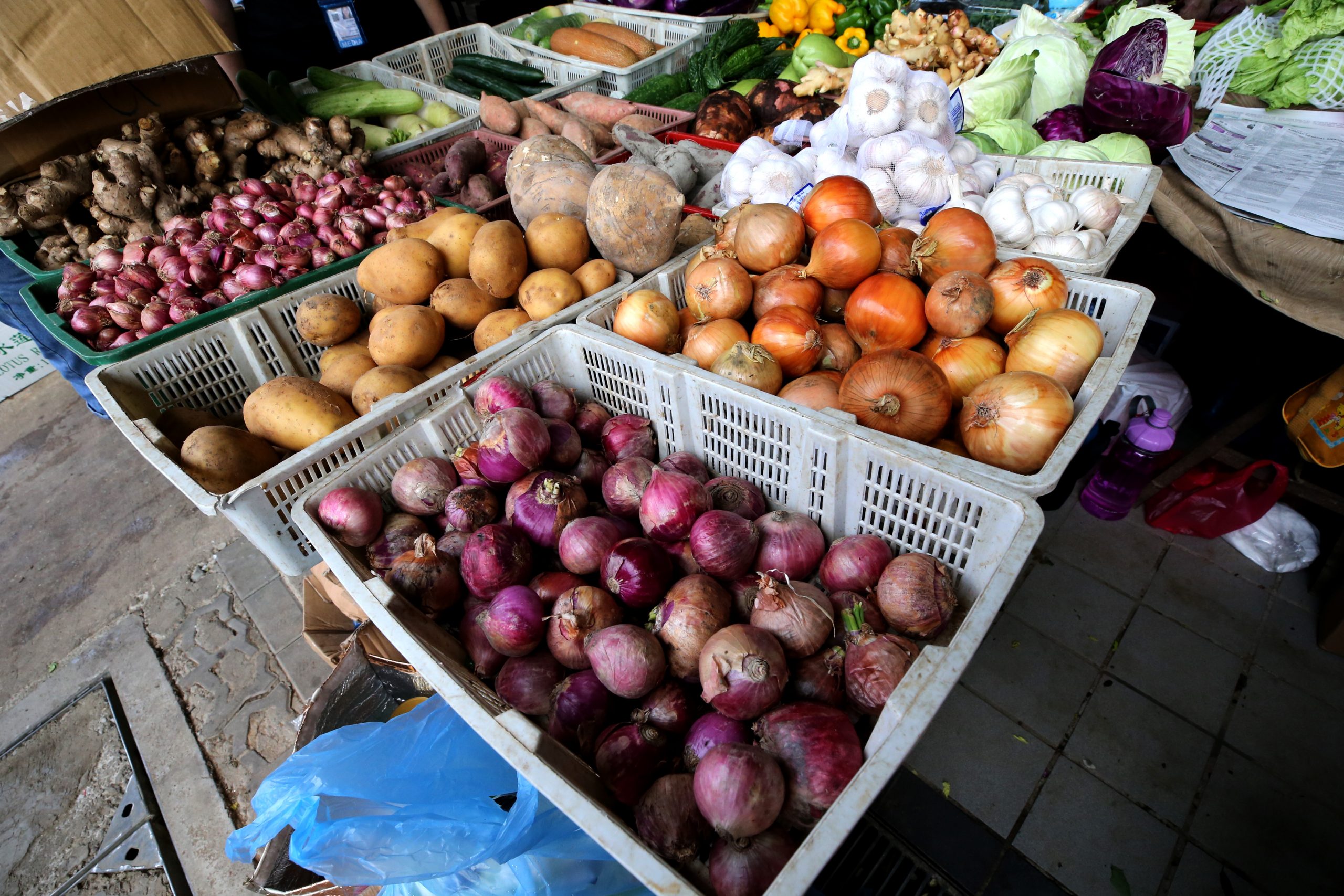 （大都会）/ME03头/跟进菜价／8图