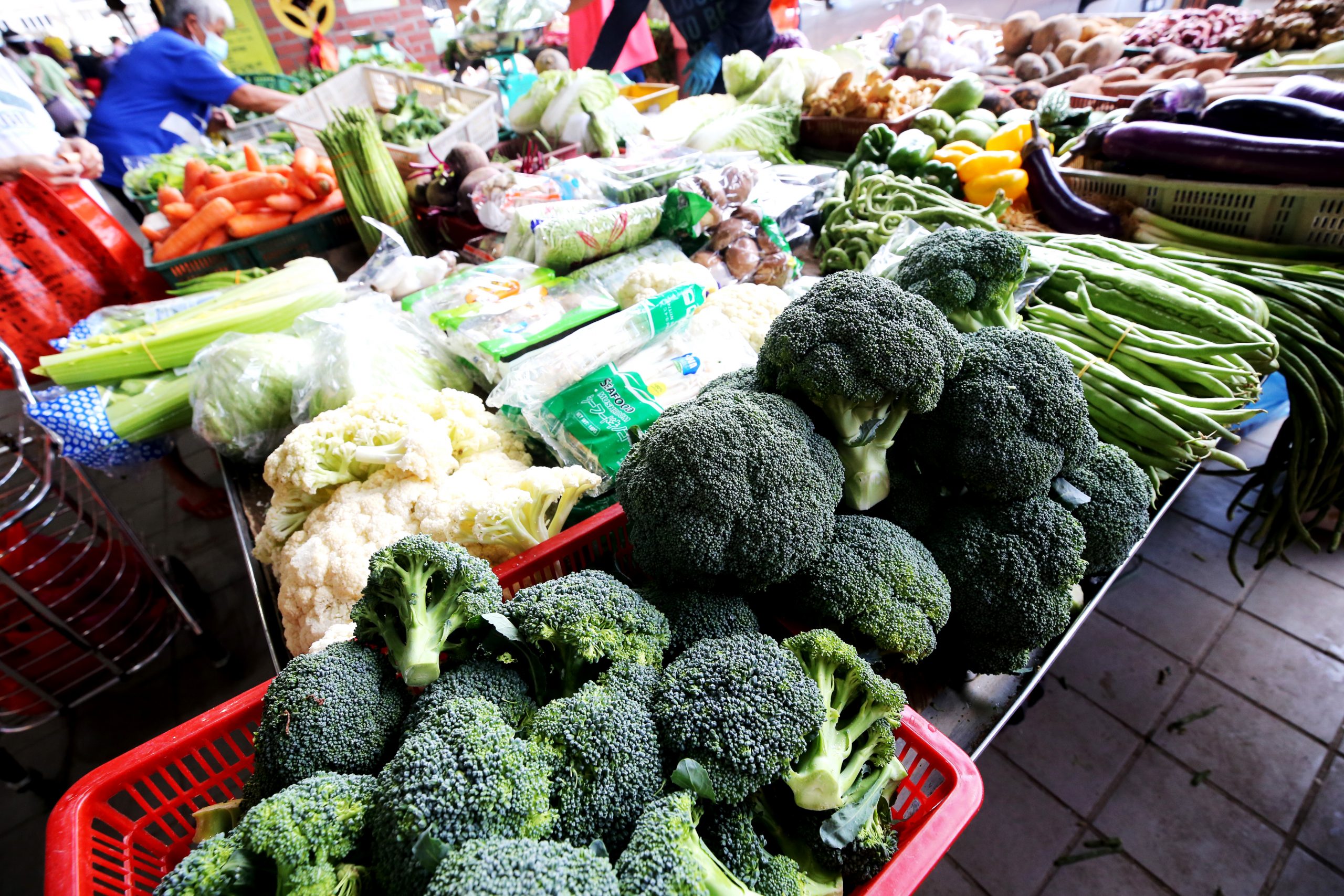 （大都会）/ME03头/跟进菜价／8图