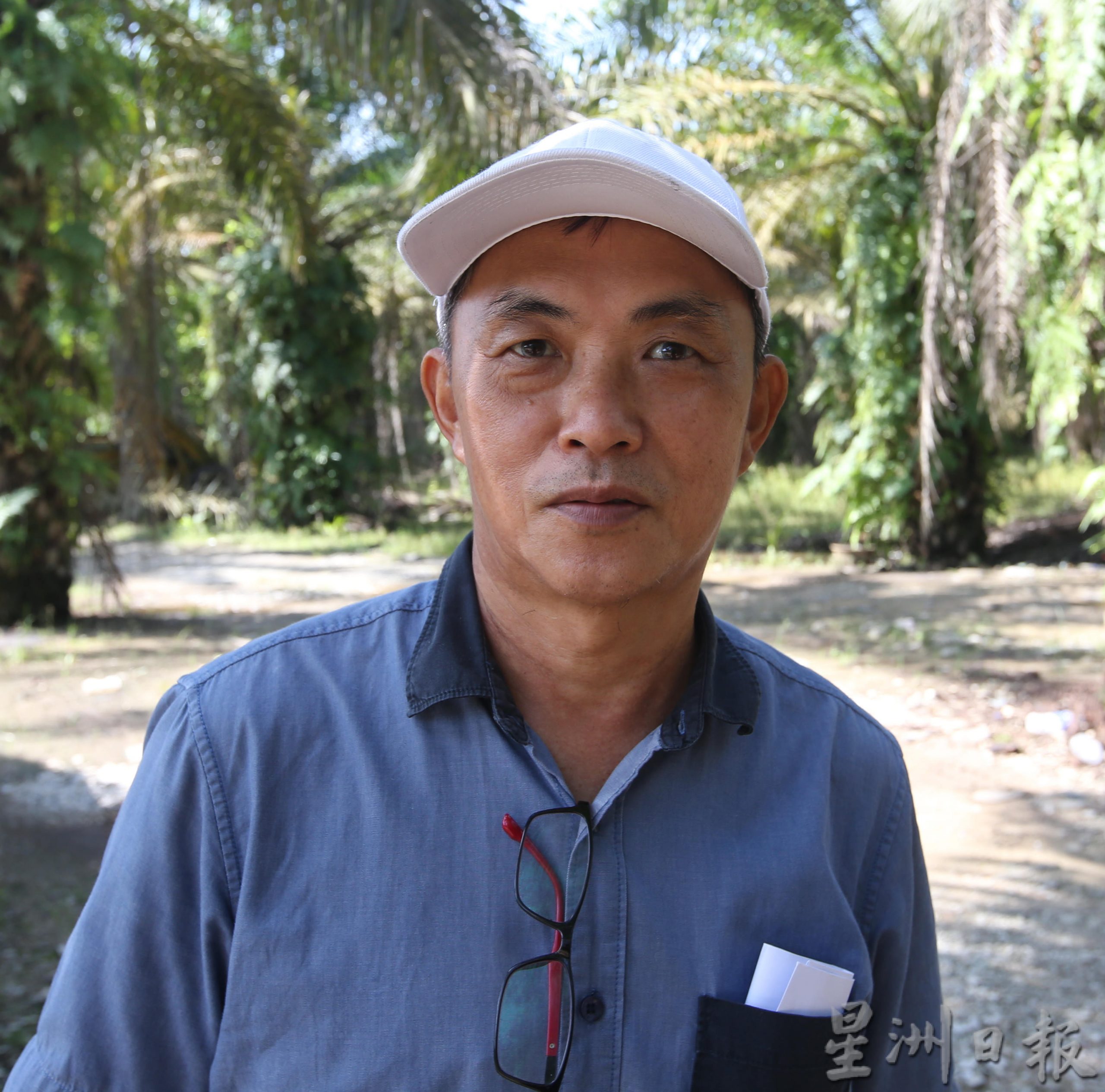 (已签发)柔:特稿:原棕油价格上涨古来小园主喜忧参半,盼维持高价纾缓成本压力