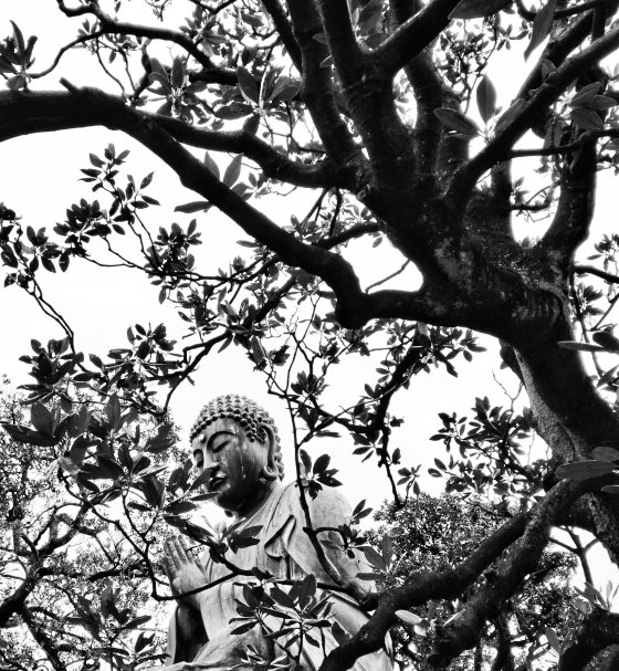 Frank Wong／午夜弥撒时间尽头