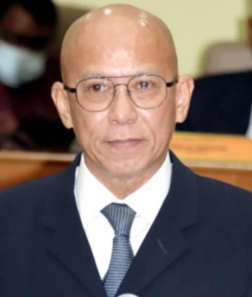 me02-大都会/美华花园大树砍了