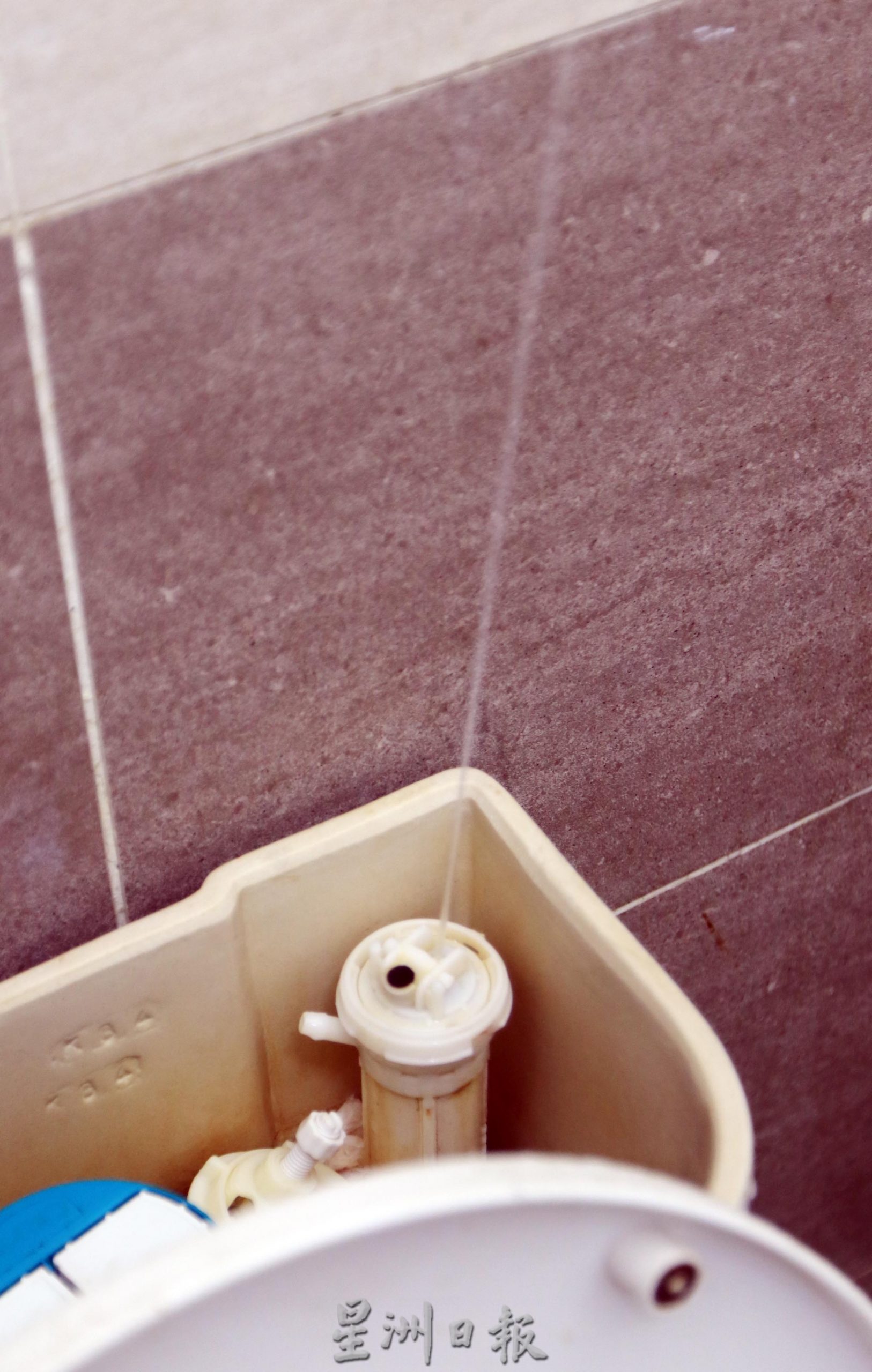 NS芙蓉/芙蓉公市公厕设施屡遭破坏,公会修到怕、贩商不敢上