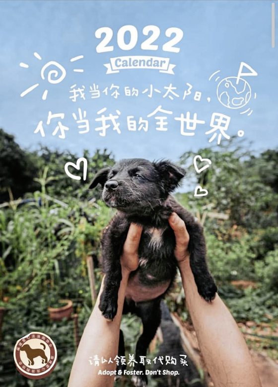 2022爱心月历义卖，筹募浪浪救援基金