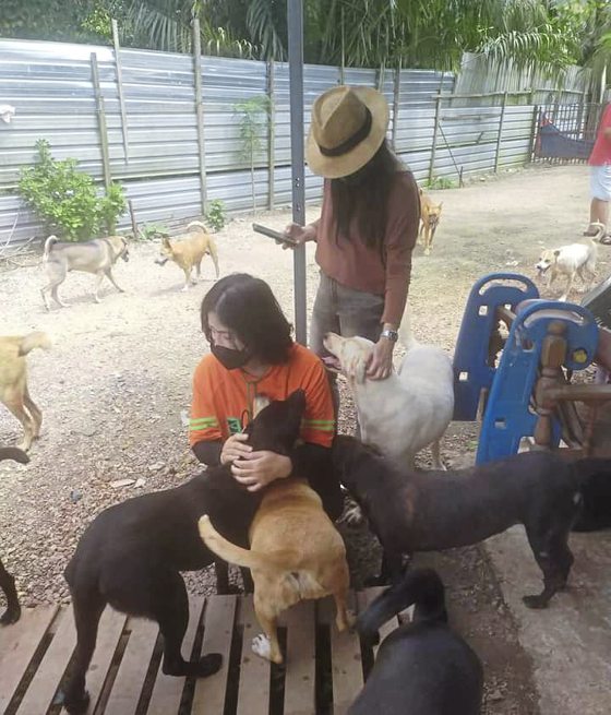 2022爱心月历义卖，筹募浪浪救援基金