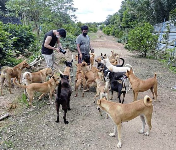 2022爱心月历义卖，筹募浪浪救援基金