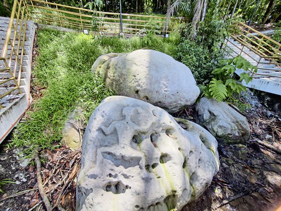 【古晋笔记】蔡羽/山都望再发现之旅