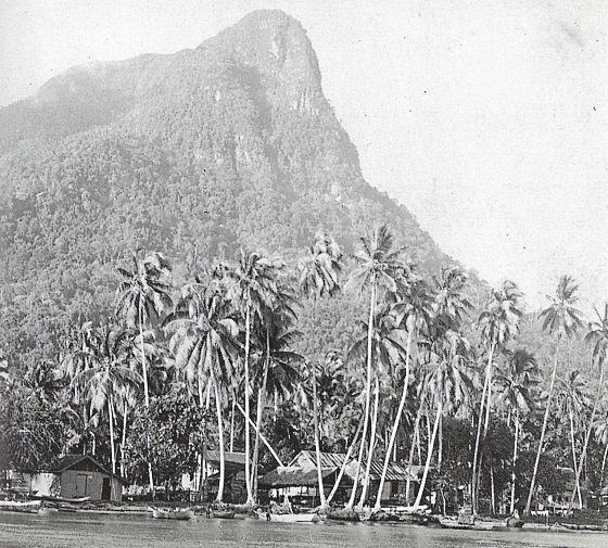 【古晋笔记】蔡羽/山都望再发现之旅