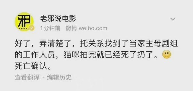 《当家主母》爆虐猫 网翻于正“杀”动物旧账