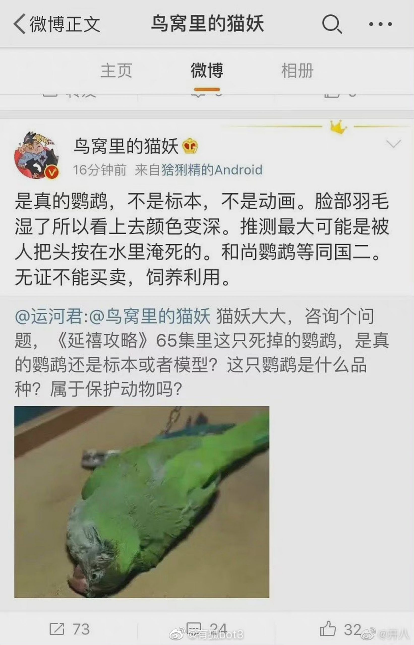 《当家主母》爆虐猫 网翻于正“杀”动物旧账