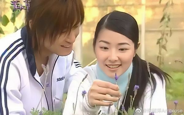 《薰衣草》开播20年 陈怡蓉吐当年悔恨