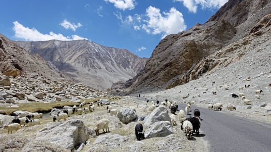 【印度】拉达克/隐藏在印度的人间天堂