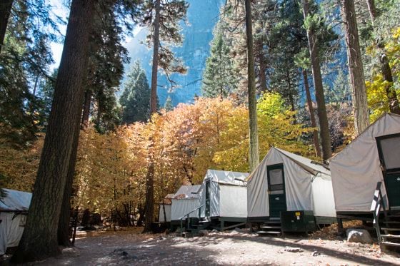 【美国‧三藩市】优胜美地‧金秋灿烂