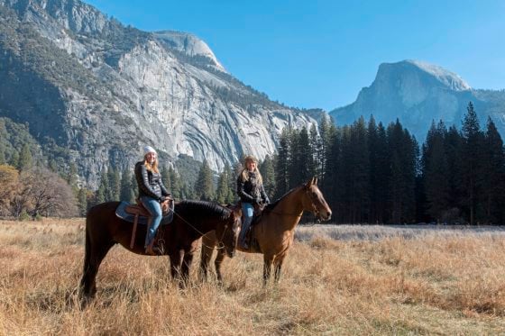 【美国‧三藩市】优胜美地‧金秋灿烂