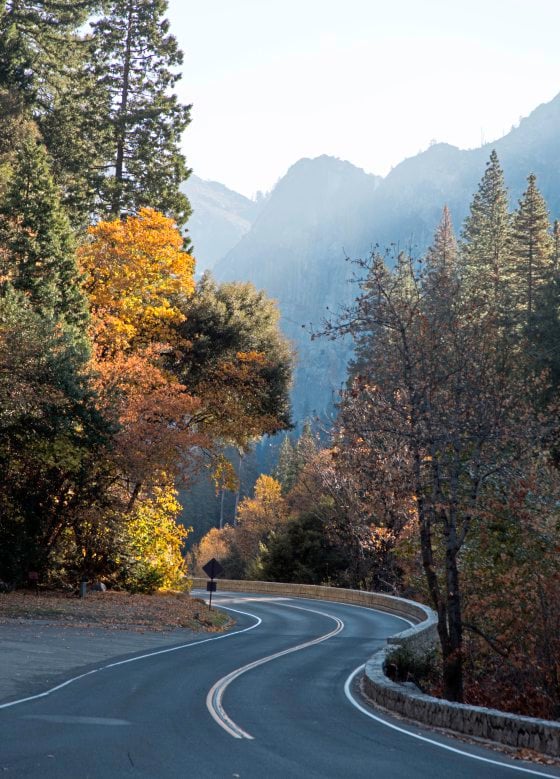 【美国‧三藩市】优胜美地‧金秋灿烂