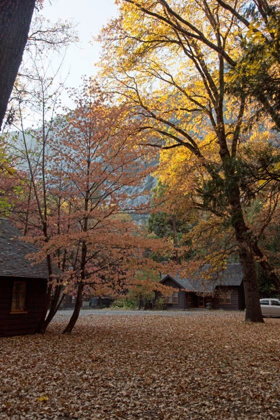 【美国‧三藩市】优胜美地‧金秋灿烂