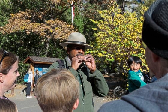 【美国‧三藩市】优胜美地‧金秋灿烂