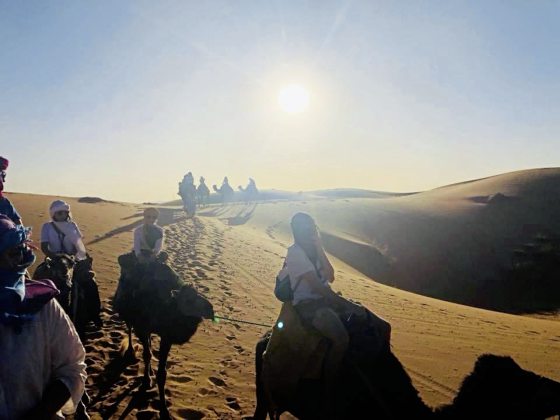 【非洲】有心不怕迟,撒哈拉沙漠圆梦行!