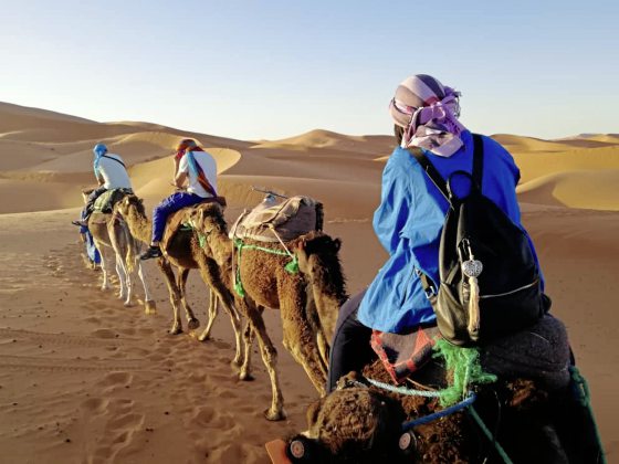 【非洲】有心不怕迟,撒哈拉沙漠圆梦行!