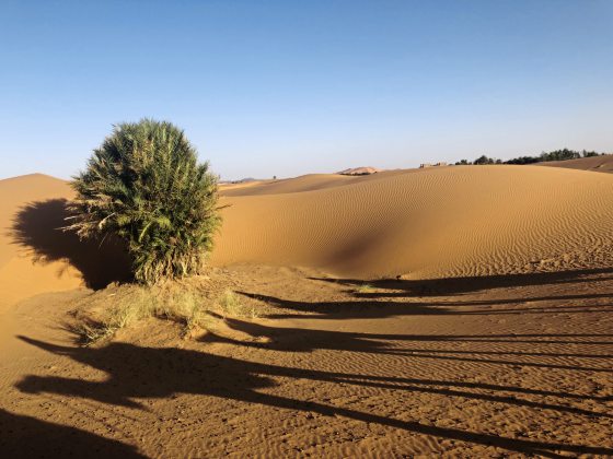 【非洲】有心不怕迟,撒哈拉沙漠圆梦行!