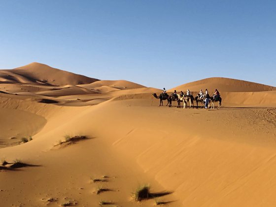 【非洲】有心不怕迟,撒哈拉沙漠圆梦行!