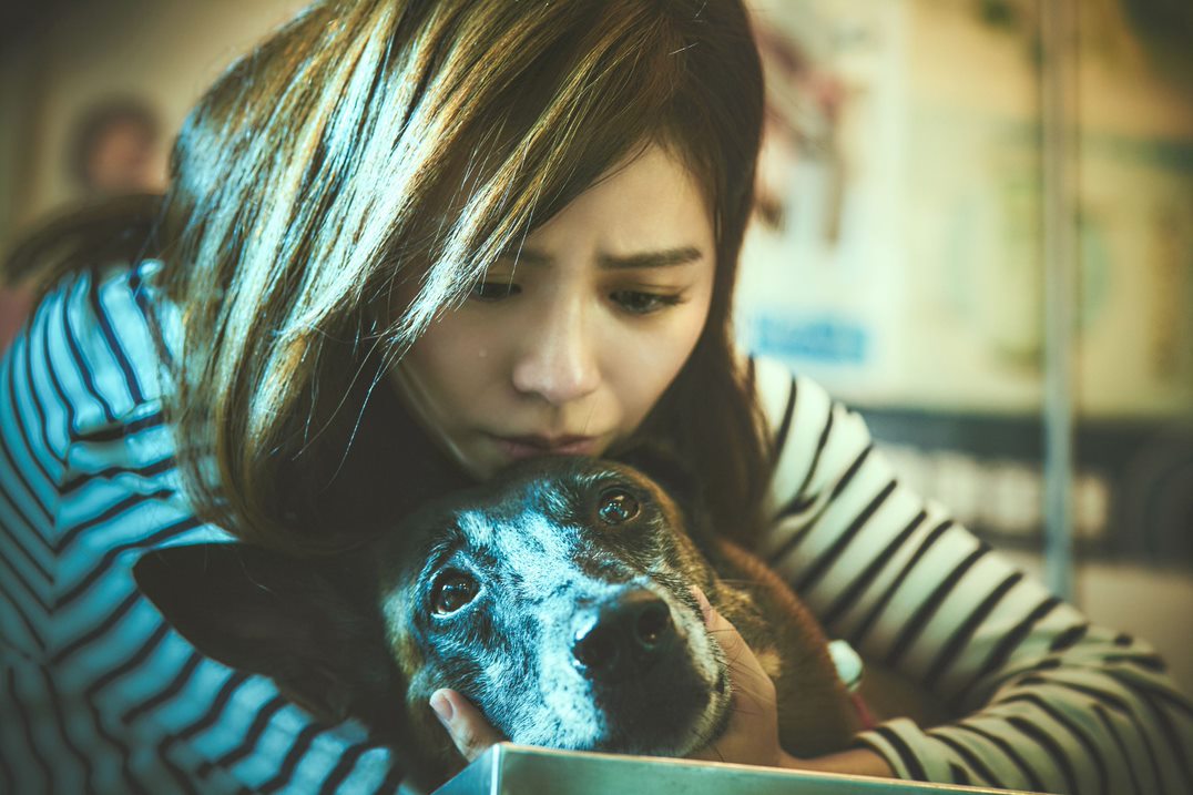 与柯震东默契升华  九把刀无惧互嘲伤口