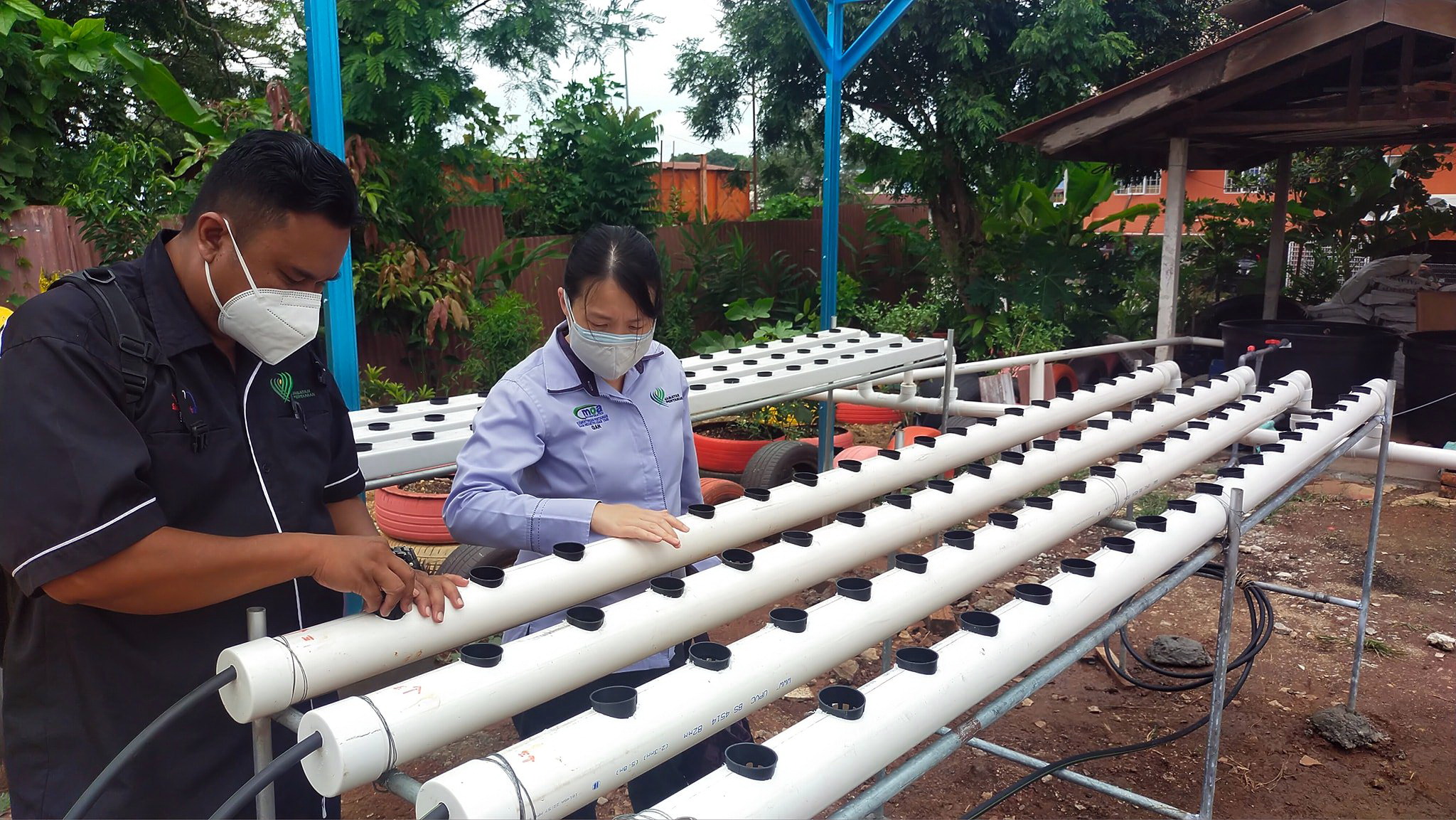 东:消拯员除了也救火救灾工作,也响应绿色计划,展开种菜工作!