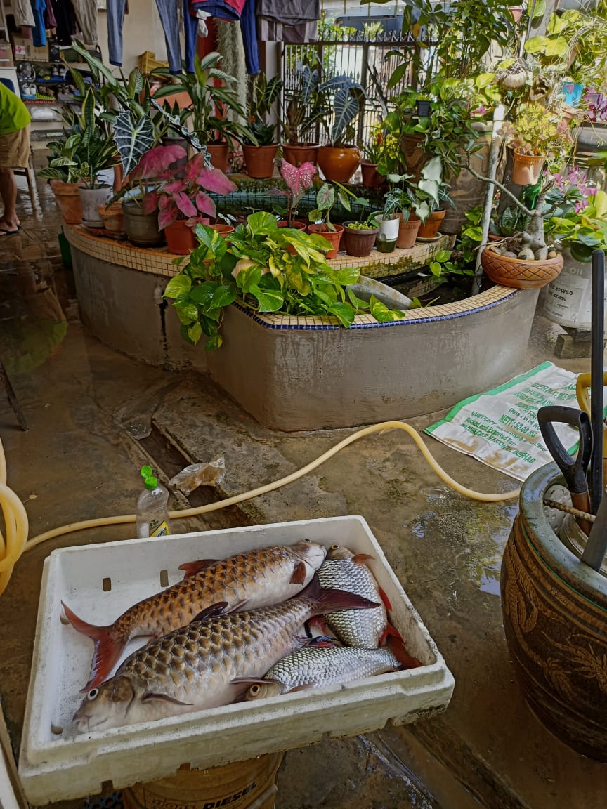 东:灿丽园居民收拾残局