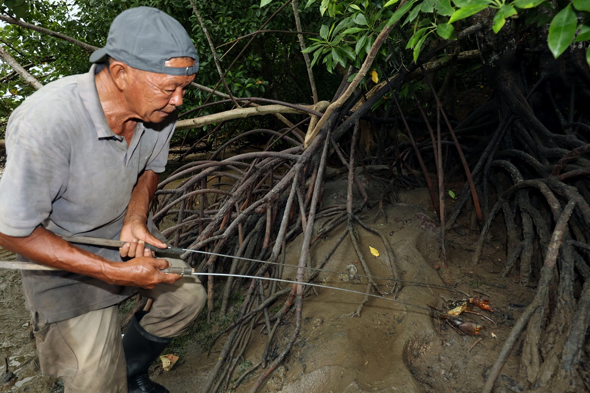 乌敏岛六旬“螃蟹王” 徒手捕蟹逾半世纪
