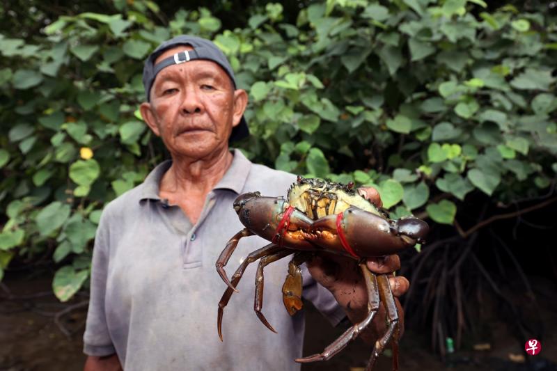 乌敏岛六旬“螃蟹王” 徒手捕蟹逾半世纪