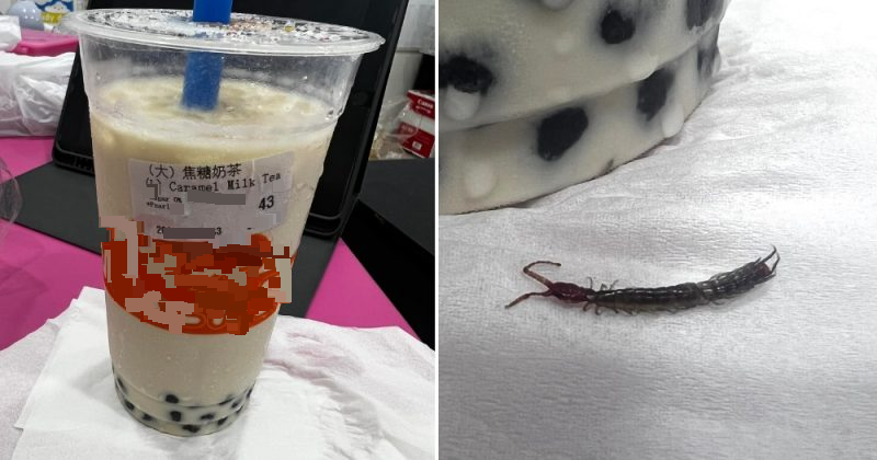 买奶茶喝出小蜈蚣 狮城女身心灵受创