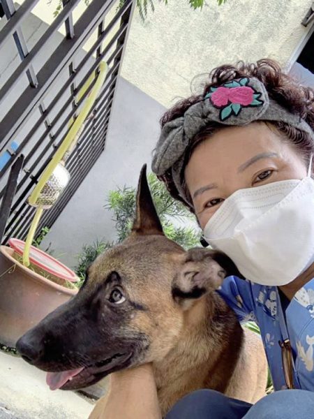 从关关到Lucky,它找不到原主人,却找到了新的家