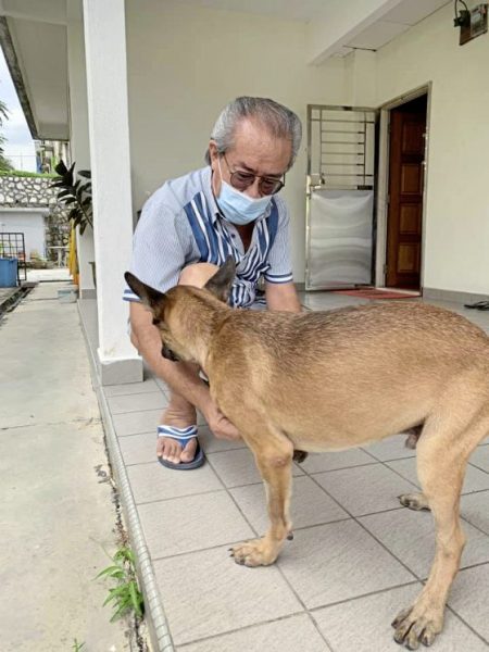 从关关到Lucky,它找不到原主人,却找到了新的家
