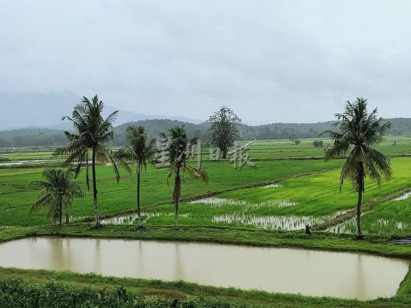 供FB／大雨致河涨，新邦榴梿通往马口道路中断