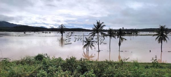 供FB／大雨致河涨，新邦榴梿通往马口道路中断