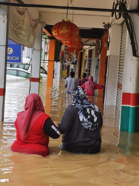 供FB/宁宁河水涨引水患,鳄鱼也上岸避难
