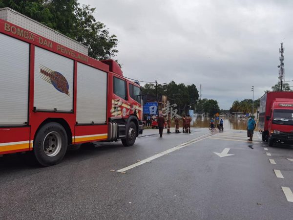 供FB/宁宁河水涨引水患,鳄鱼也上岸避难