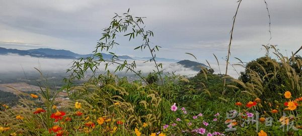 供fb/泰梳山云海太惊艳,退休摄影业者觉得值推广