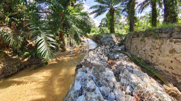 供FB/耗10万兴建河堤 塌了又塌,朱建华怒斥:根本是豆腐渣工程